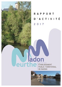 Rapport d'activité 2017