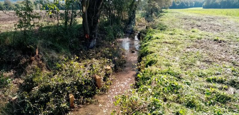 Restauration écologique du Terrouin