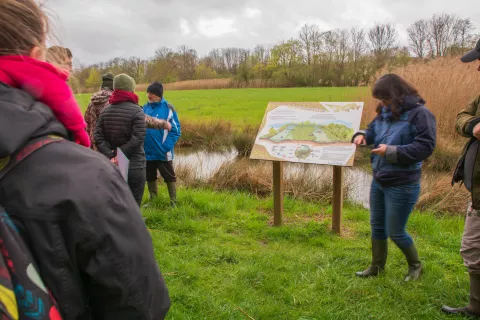 Partage d'expérience sur la création et la restauration d'annexes hydrauliques