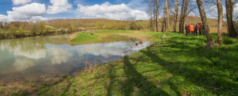 Morte de la « Grande Prêle » à Ceintrey