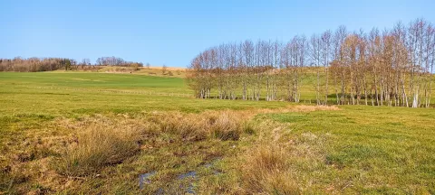 Zones humides dans le secteur de Ville-sur-Illon