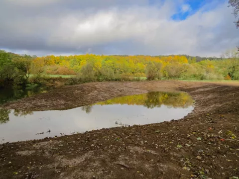 Morte de la « Grande Prêle » à Ceintrey