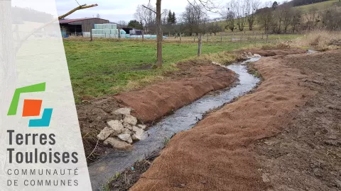 Affiche Terres Touloises
