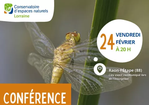 Conférence Zone humides : biodiversité et services rendus à l'homme