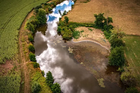 Le Madon à Ceintrey - EPTBMM / N. Dohr