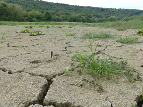 Sécheresse