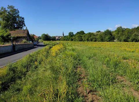 La digue rue du Breuil