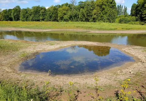 Pose d'un batardeau (complète le dispositif en cas de crue)