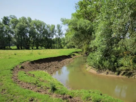 Berge piétinée sur le Val d'Arol à Ramécourt