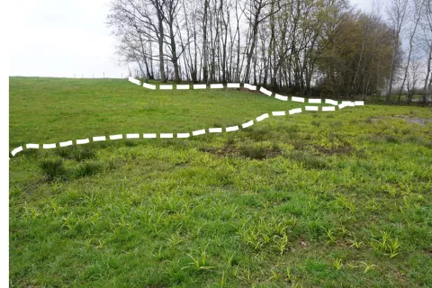Délimitation de zone humide à Escles