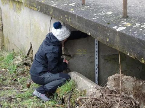 Levé de laisses de crues