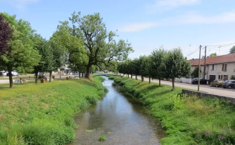 La Saule, affluent du Madon