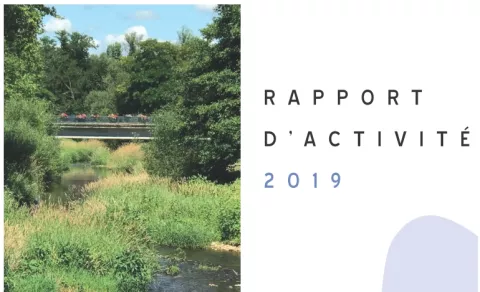Rapport d'activité 2019
